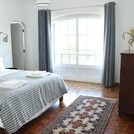 Living Apartment